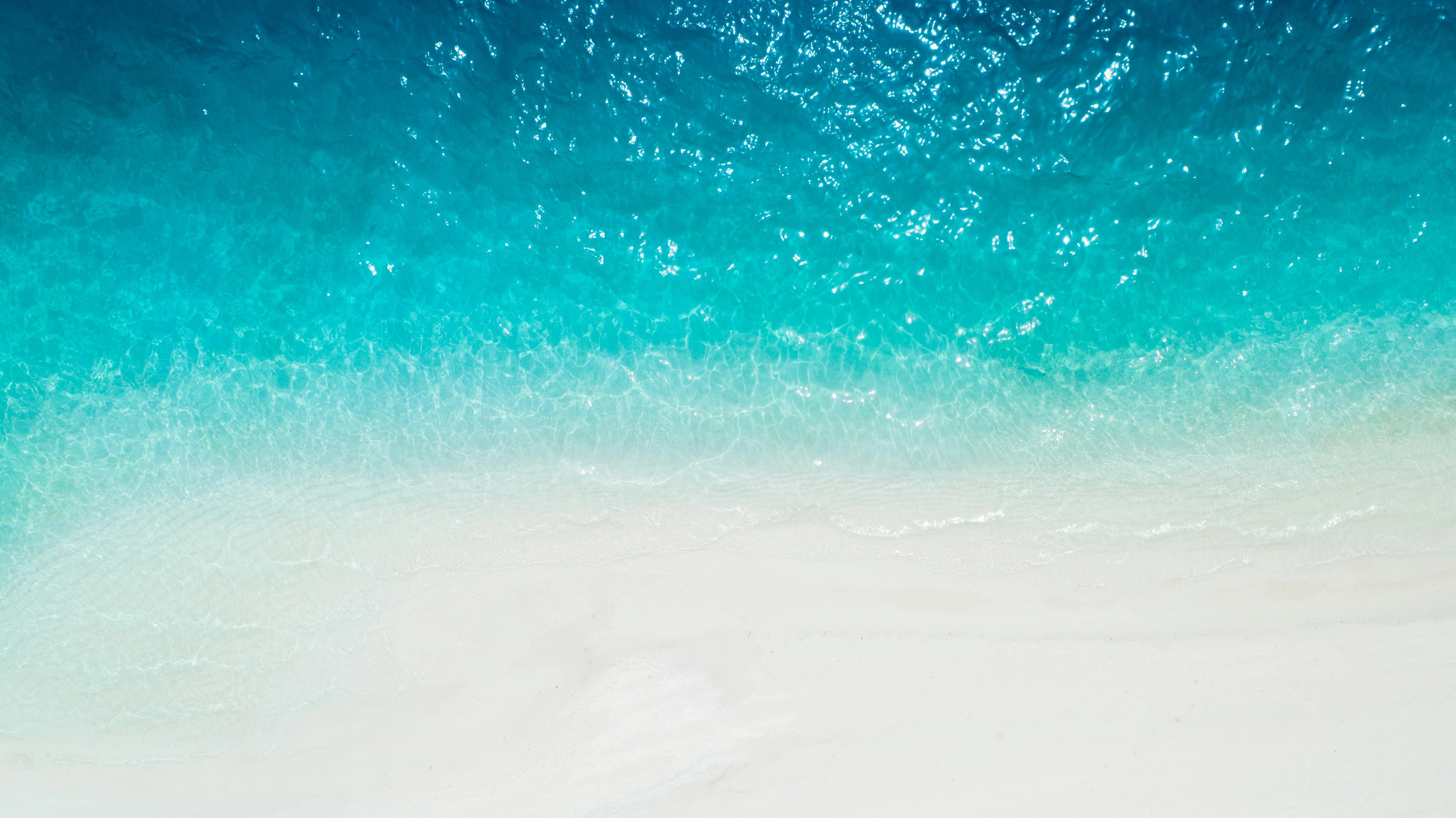 banner1