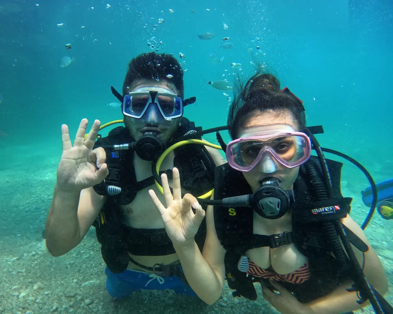 Kurumsal / Teşvik Gezileri